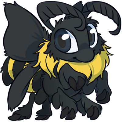 A natural flito with black and yellow fluffy coloring, dark wings, and dark blue eyes.
